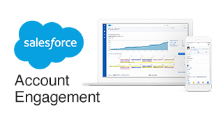 AccountEngagement