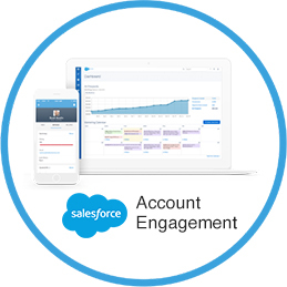 AccountEngagement